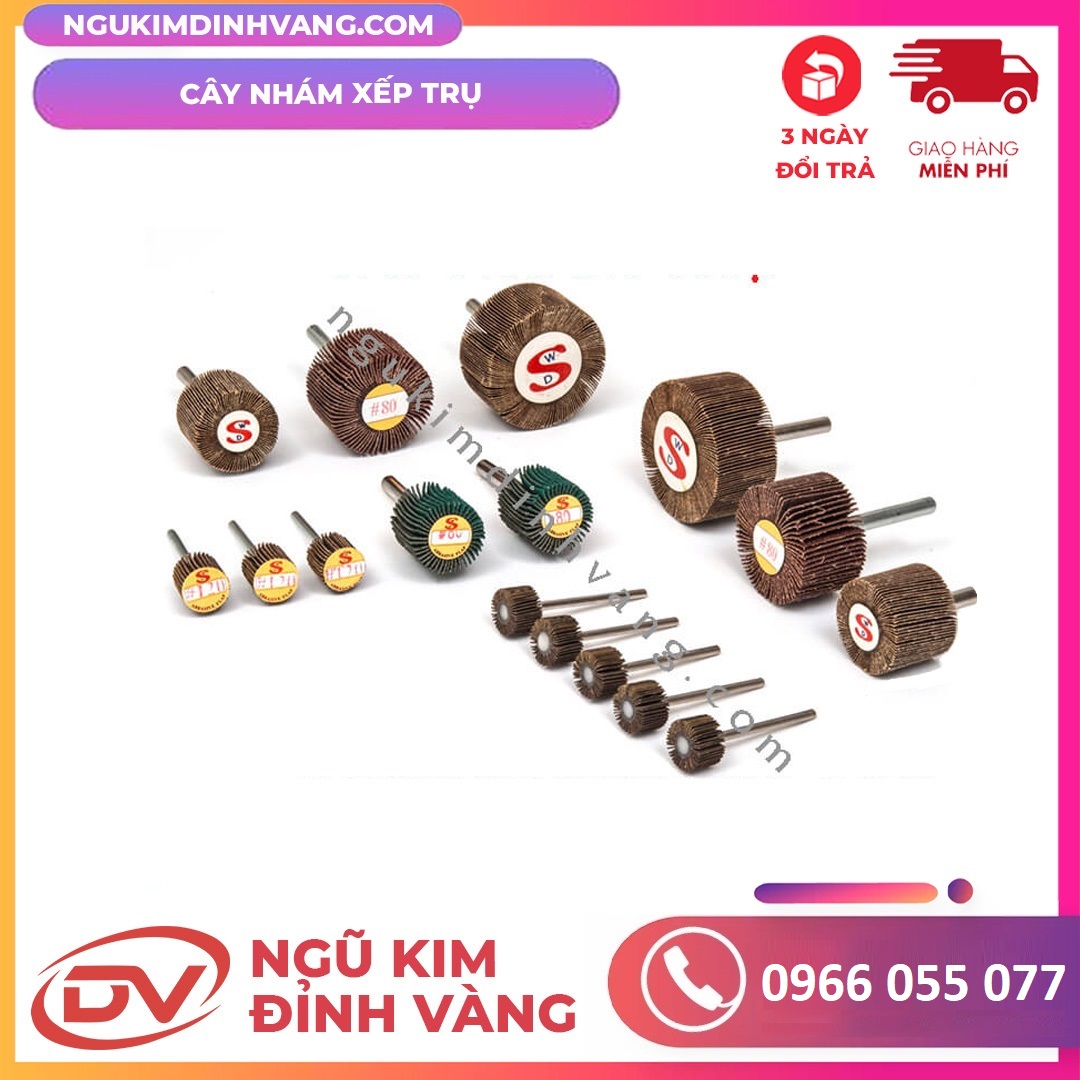 Cây Nhám Xếp Trụ
